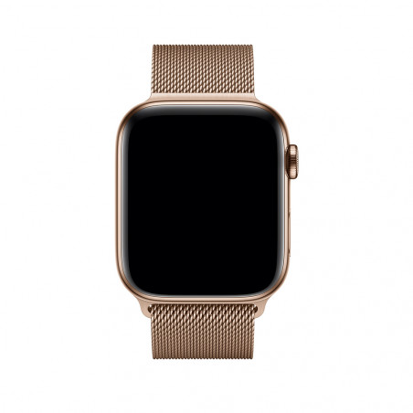 Milanese Loop