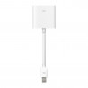 Mini DisplayPort to DVI Adapter