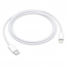 USB-C to Lightning Cable (1 m)