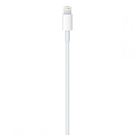 USB-C to Lightning Cable (1 m)