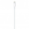 USB-C to Lightning Cable (1 m)