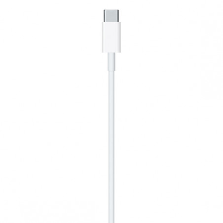 USB-C to Lightning Cable (1 m)