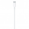 USB-C to Lightning Cable (1 m)