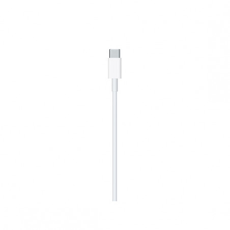 USB-C to Lightning Cable (2 m)
