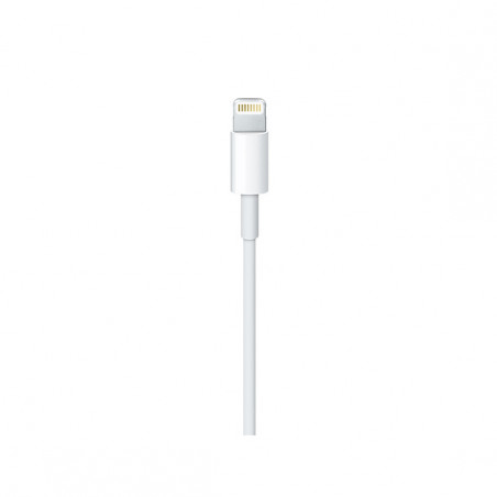 USB-C to Lightning Cable (2 m)