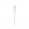 USB-C to Lightning Cable (2 m)