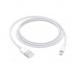 Lightning to USB Cable (1 m)