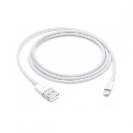 Lightning to USB Cable (1 m)
