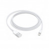 Lightning to USB Cable (1 m)