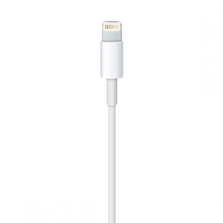 Lightning to USB Cable (1 m)