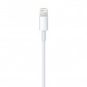 Lightning to USB Cable (1 m)