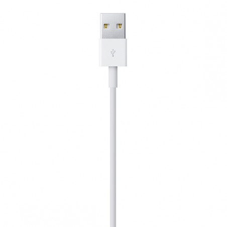Lightning to USB Cable (1 m)