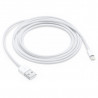 Lightning to USB Cable (2 m)