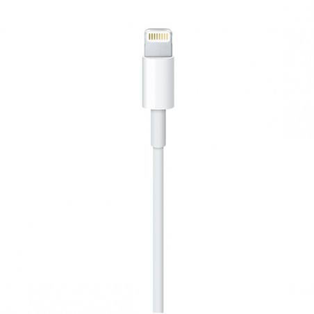 Lightning to USB Cable (2 m)