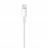 Lightning to USB Cable (2 m)