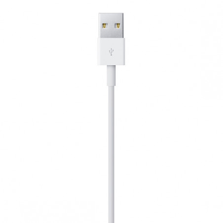 Lightning to USB Cable (2 m)