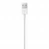 Lightning to USB Cable (2 m)