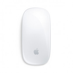 Magic Mouse 2