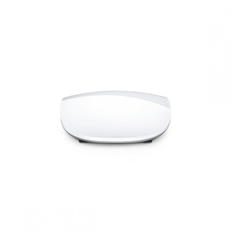 Magic Mouse 2