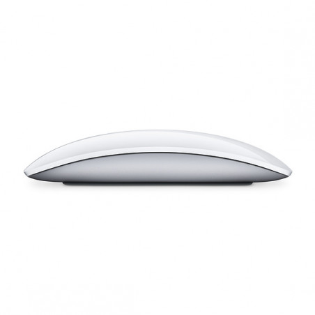 Magic Mouse 2