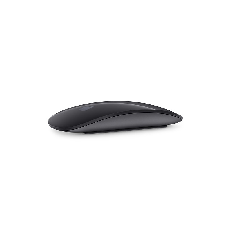 Magic Mouse 2