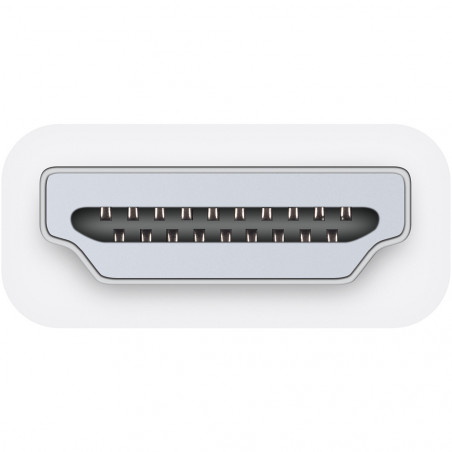 Apple HDMI to DVI Adapter