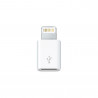 Lightning to Micro USB Adapter