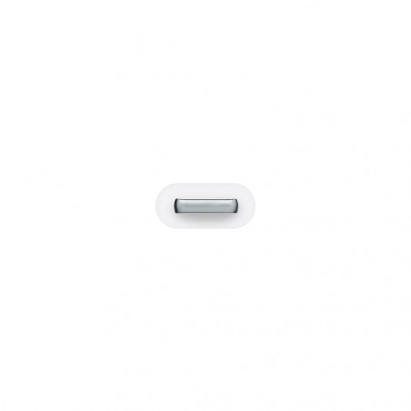 Lightning to Micro USB Adapter