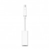 Apple Thunderbolt to FireWire Adapter