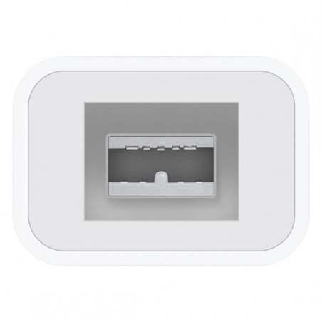 Apple Thunderbolt to FireWire Adapter