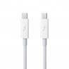 Apple Thunderbolt Cable (2.0 m) - White