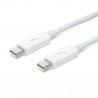 Apple Thunderbolt Cable (2.0 m) - White